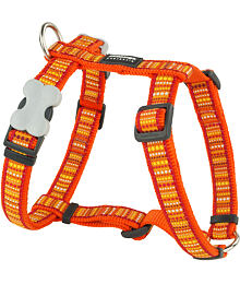 Postroj RD 25 mm x 71-113 cm - Lotzadotz Orange