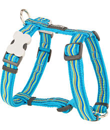 Postroj RD 25 mm x 56-80 cm- Dreamstream Turquoise