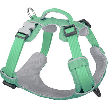 Red Dingo postroj Sport – Pastel Green – 20 mm x 47-64 cm