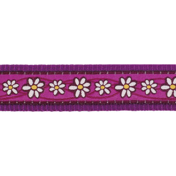 Vodítko RD 25 mm x 1,8 m - Daisy Chain Purple