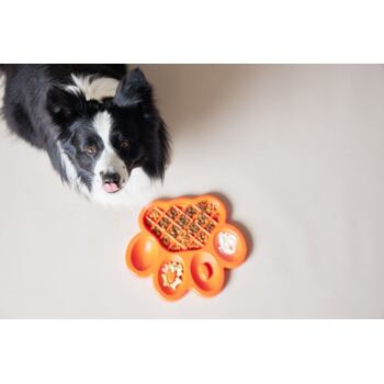Zpomalovací miska Paw Slow Feeder bude oblíbenou zábavou vašeho psa a zároveň účinným nástrojem ke zpomalení jeho nezdravého hltání.