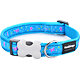 Obojek RD 15 mm x 24-36 cm - Butterfly Turquoise